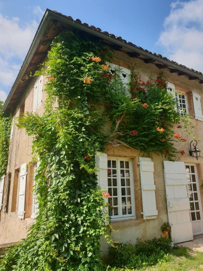 Bed and Breakfast Le Carge D'Arlay Charnay-lès-Mâcon Zewnętrze zdjęcie